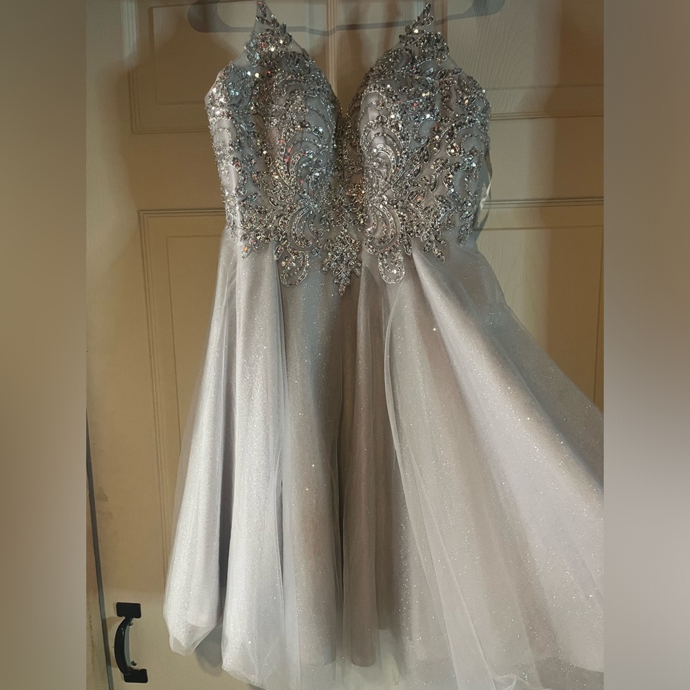 silver sparkly dress